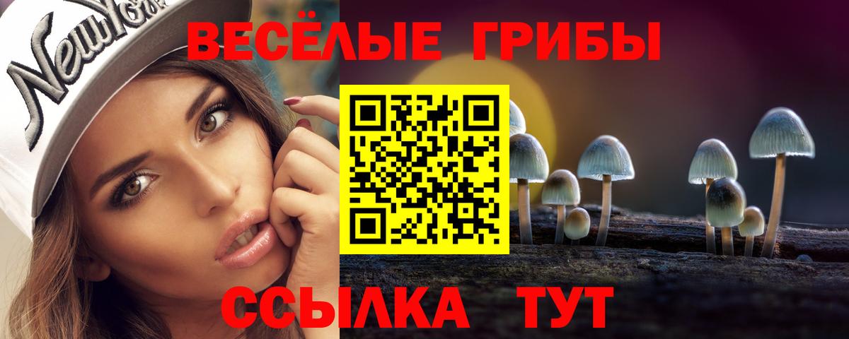Псилоцибиновые грибы Psilocybe Нерюнгри